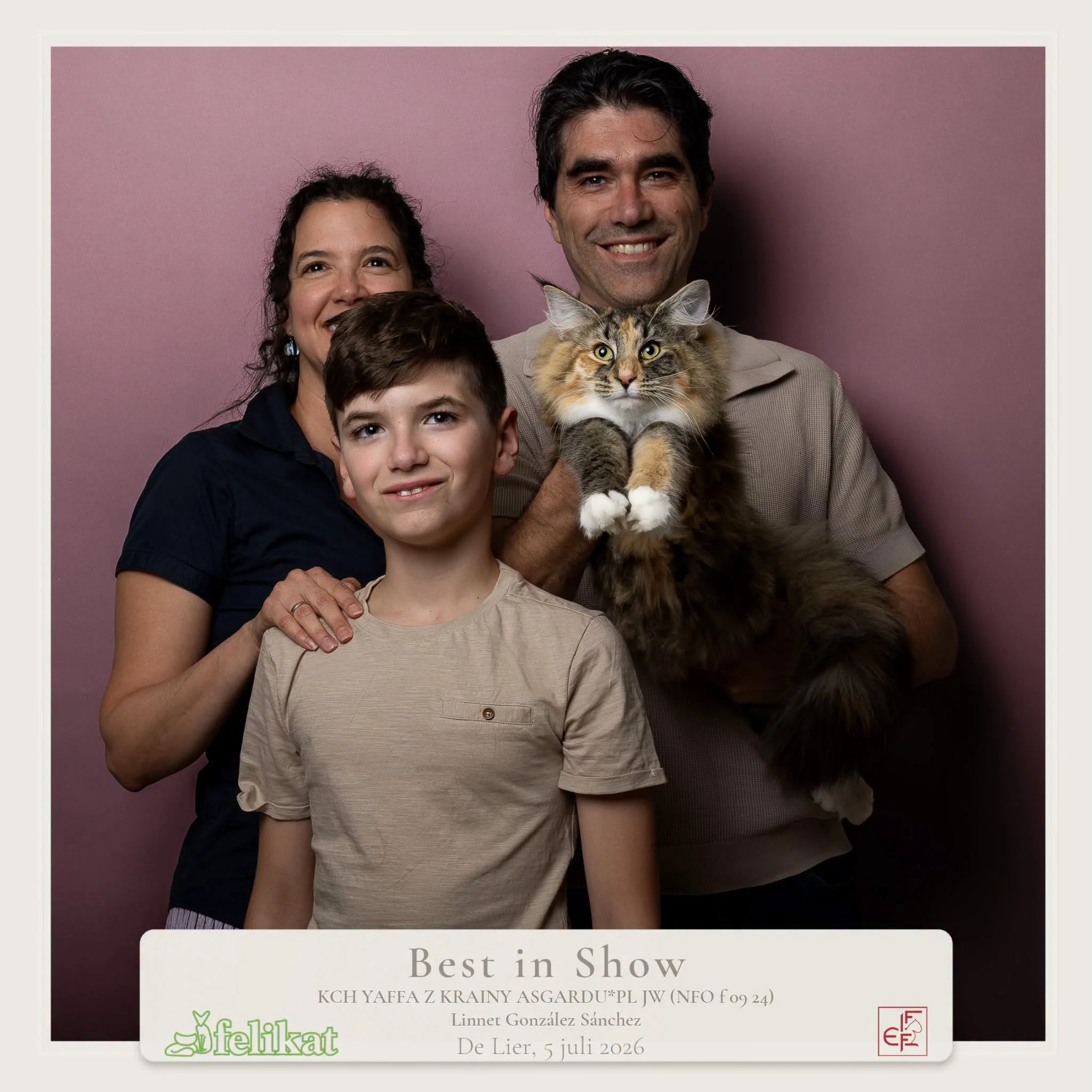 Yaffa at the Lier International Cat Show